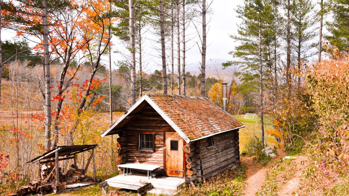 extension d'une maison en bois - IMG de garde