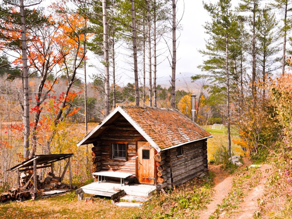 extension d'une maison en bois - IMG de garde