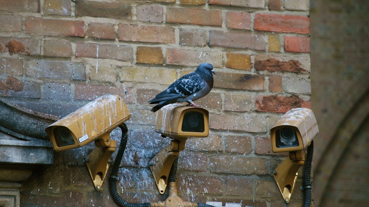 Choix de caméras de surveillance