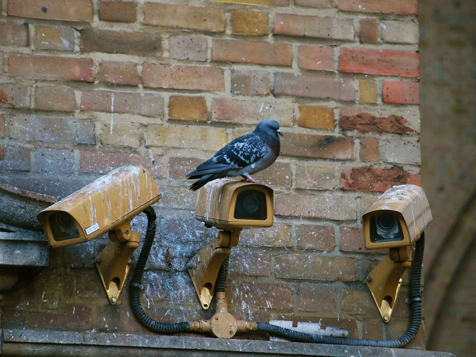 Choix de caméras de surveillance